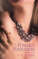 bokomslag Power and Possession