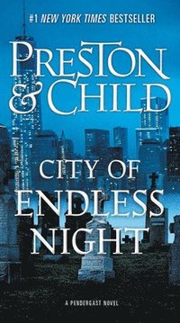 bokomslag City of Endless Night