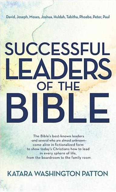 bokomslag Successful Leaders of the Bible