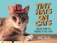 bokomslag Tiny Hats on Cats