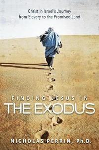 bokomslag Finding Jesus In the Exodus