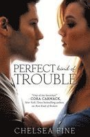 Chelsea Fine - Perfect Kind of Trouble, Häftad