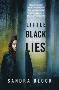 bokomslag Little Black Lies