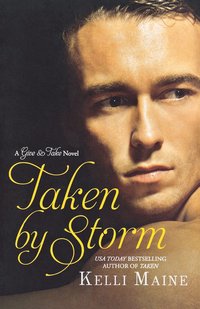 bokomslag Taken By Storm