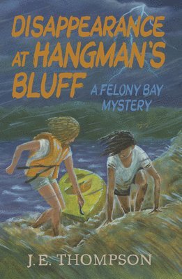 bokomslag Disappearance at Hangman's Bluff