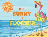 bokomslag It's Sunny in Florida