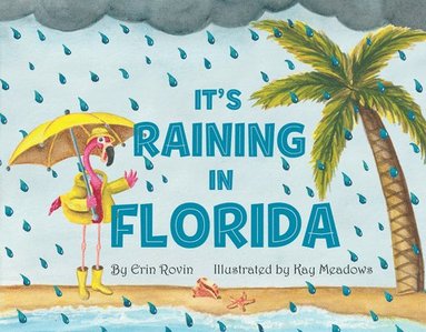 bokomslag It's Raining in Florida