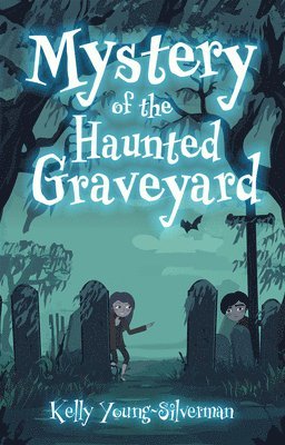 bokomslag Mystery of the Haunted Graveyard