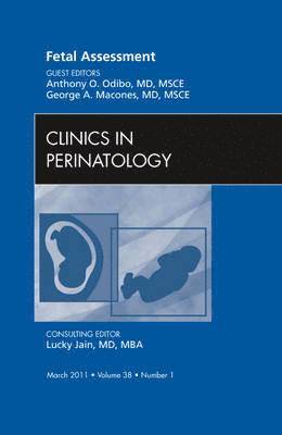 Fetal Assessment, An Issue of Clinics in Perinatology 1