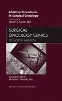 Steven A. Curley, Steven A Curley - Ablative Procedures in Surgical Oncology, An Issue of Surgical Oncology Clinics, Inbunden