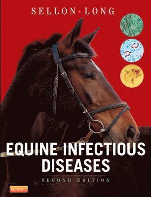 bokomslag Equine Infectious Diseases