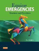 bokomslag Equine Emergencies