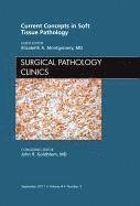 bokomslag Current Concepts in Soft Tissue Pathology, An Issue of Surgical Pathology Clinics