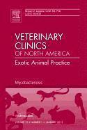 bokomslag Mycobacteriosis, An Issue of Veterinary Clinics: Exotic Animal Practice