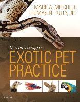 bokomslag Current Therapy in Exotic Pet Practice