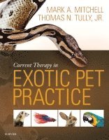 Mark Mitchell, Thomas N. Tully - Current Therapy in Exotic Pet Practice, Inbunden