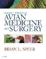 bokomslag Current Therapy in Avian Medicine and Surgery