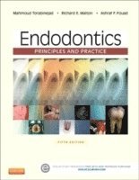 bokomslag Endodontics: Principles and Practice