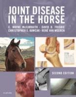 bokomslag Joint Disease in the Horse