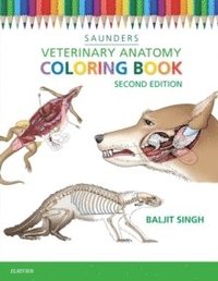bokomslag Veterinary Anatomy Coloring Book