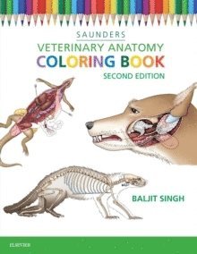 Veterinary Anatomy Coloring Book 1