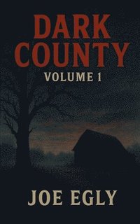 bokomslag Dark County