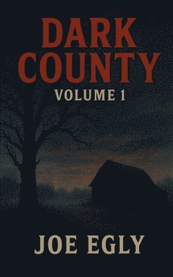 bokomslag Dark County