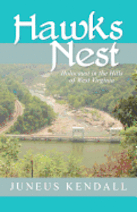 bokomslag Hawks Nest: Holocaust in the Hills of West Virginia