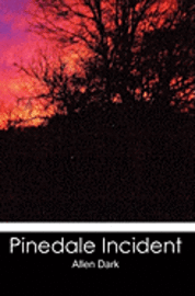bokomslag Pinedale Incident