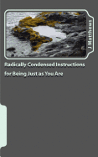 Radically Condensed Instructions for Being Just as You Are 1