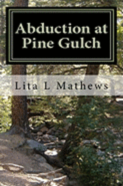 bokomslag Abduction at Pine Gulch
