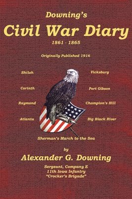 Alexander G Downing, Alexander G. Downing, C Stephen Badgley, C. Stephen Badgley - Downing's Civil War Diary, Häftad