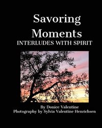 bokomslag Savoring Moments: Interludes with Spirit