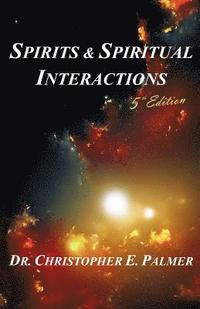bokomslag Spirits & Spiritual Interactions