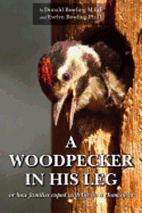 bokomslag A Woodpecker in His Leg: Or how families coped with life on a Homestead