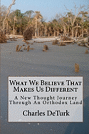 bokomslag What We Believe That Makes Us Different: A New Thought Journey Through An Orthodox Land