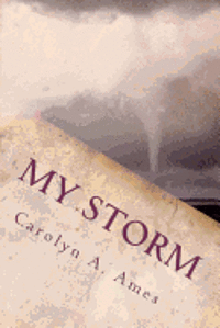 bokomslag My Storm