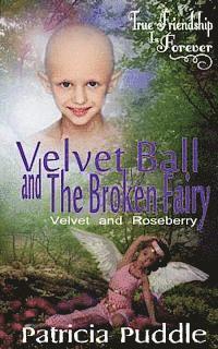 bokomslag Velvet Ball and The Broken Fairy