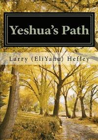 bokomslag Yeshua's Path: Walking in the Spirit according to Torah