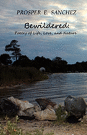 bokomslag Bewildered: Poetry of Life, Love, and Nature
