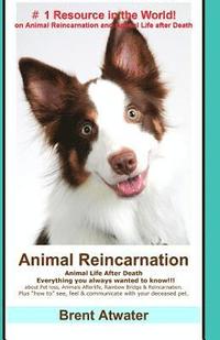 bokomslag Animal Reincarnation: Everything You Always Wanted to Know! about Pet Reincarnation plus 'how to' techniques to see, feel & communicate with