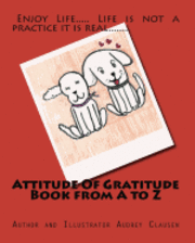 bokomslag Attitude Of Gratitude Book from A to Z