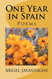 bokomslag One Year in Spain: Poems