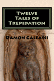 bokomslag Twelve Tales of Trepidation
