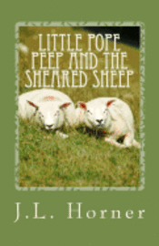 bokomslag Little Pope Peep and the sheared sheep: Here are the questions, the evidence and the arguments. You are the jury.