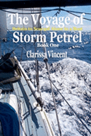 bokomslag The Voyage of Storm Petrel: Book 1: Britain to Senegal alone in a boat