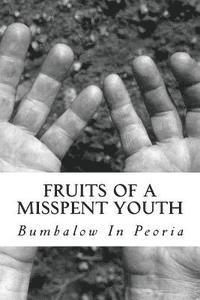 bokomslag Fruits Of A Misspent Youth: Bo Bumbalow