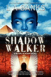 bokomslag Shadow Walker: Neteru Academy Books