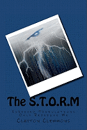 bokomslag The S.T.O.R.M: Survived Tribulations Only Redefine Me