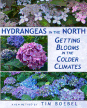 Tim Boebel - Hydrangeas in the North: Getting Blooms in the Colder Climates, Häftad